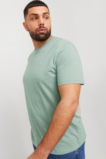 T-Shirts JACK & JONES 12253778-Iceberg-Green