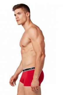 Boxershorts TOM TAILOR 70543-6061-420