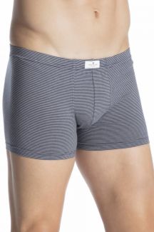 Bokserid TOM TAILOR 70493-6061-632