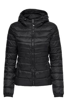 Jacket ONLY 15156569-Black