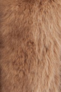 Winter jacket FASCINATE RD9201-BEIGE-APRICOT