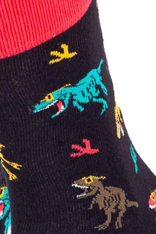 Socks JOHN FRANK JFLSFUN111