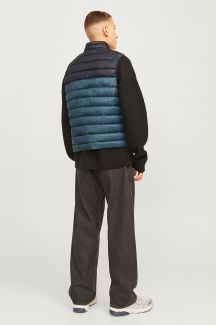 Liivi JACK & JONES 12258457-Magical-Fores