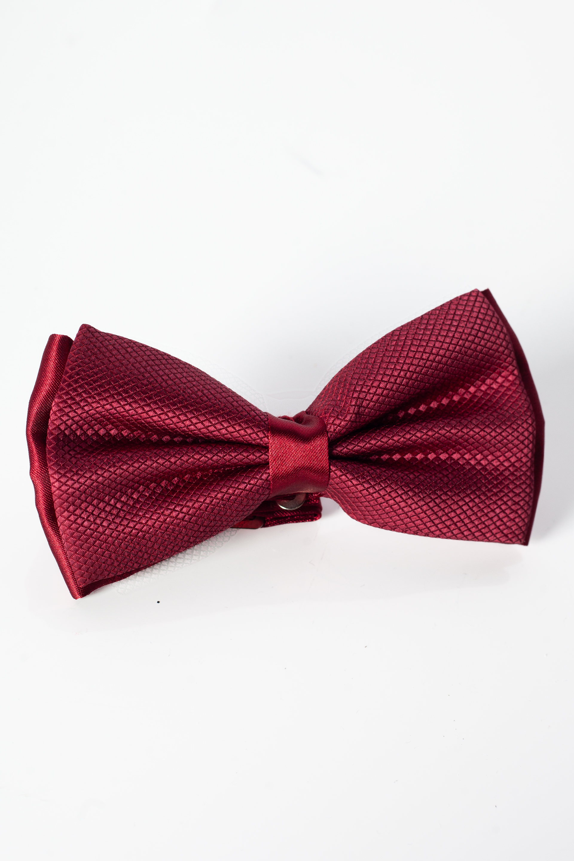 Peteliškė NINO PACOLI BOWTIE-DES-BORDO