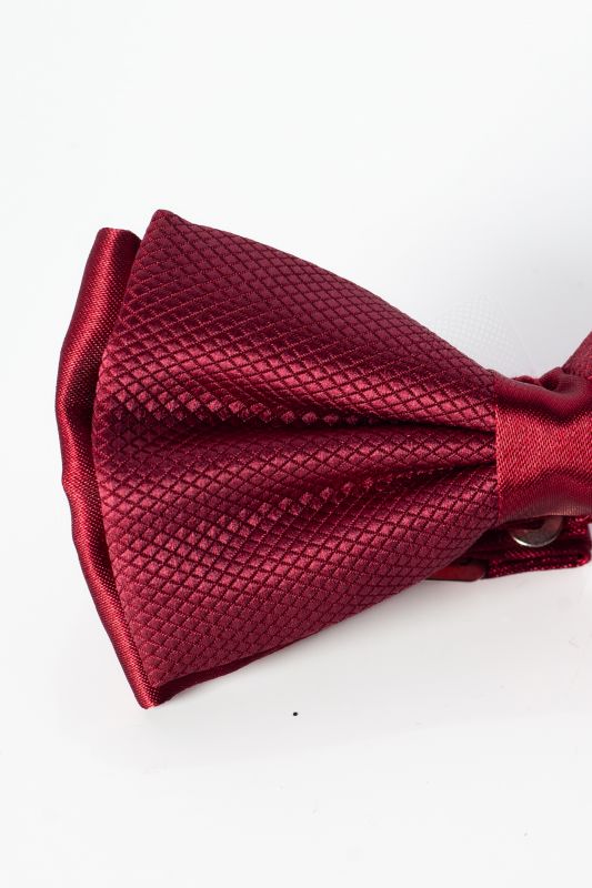 Peteliškė NINO PACOLI BOWTIE-DES-BORDO