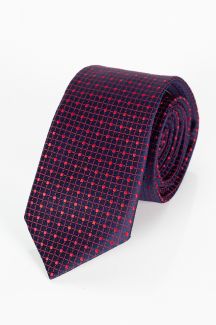 Kaklasaite NINO PACOLI MIKRO-DESEN-SK2057-V3