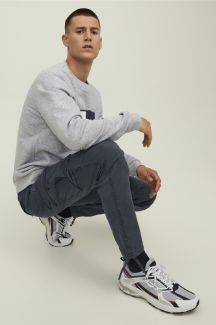 Kargo bikses JACK & JONES 12216664-Asphalt