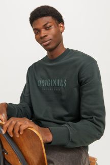 Sporta džemperis JACK & JONES 12285949-Forest-River