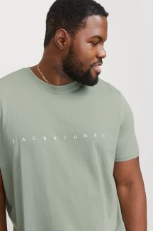 T-krekls JACK & JONES 12243625-Iceberg-Green