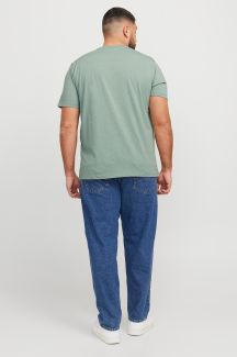 T-krekls JACK & JONES 12253778-Iceberg-Green