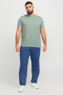 T-krekls JACK & JONES 12253778-Iceberg-Green
