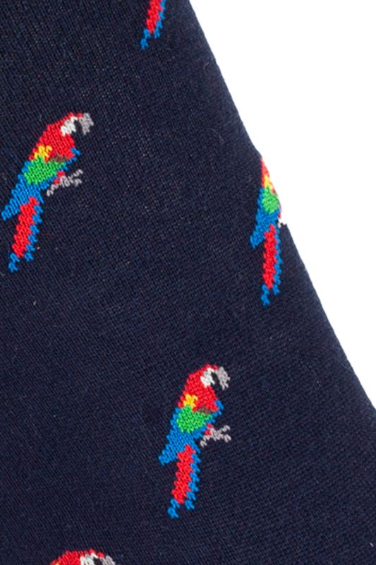 Zeķes JOHN FRANK JFLSCOOL46