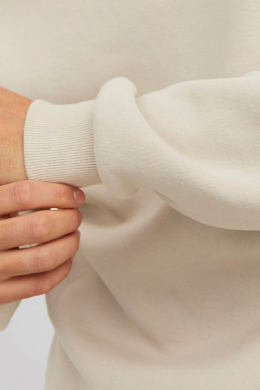 Sporta džemperis JACK & JONES 12249341-Moonbeam