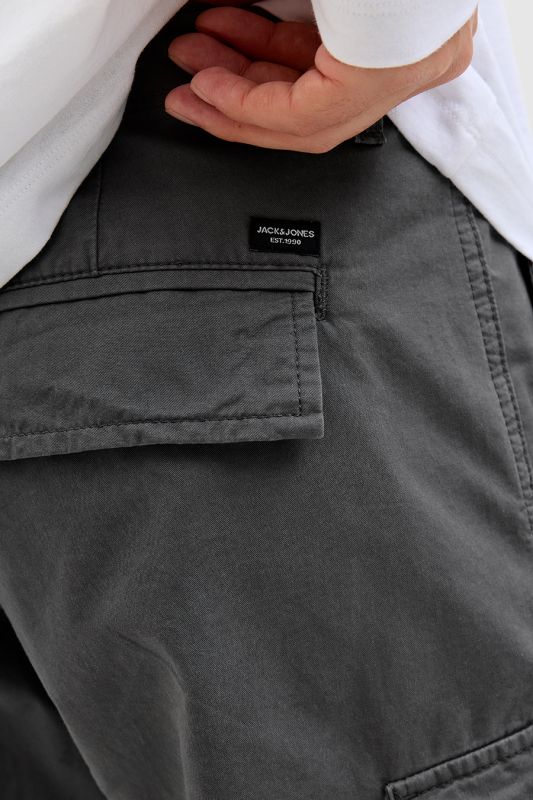 Auduma šorti JACK & JONES 12254276-Castlerock