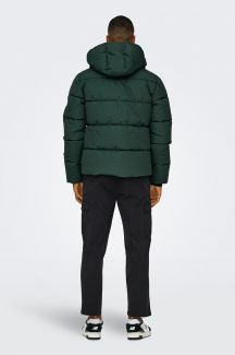 Зимняя куртка ONLY & SONS 22029661-Darkest-Spruc