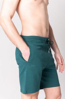 Спортивные шорты JOHN FRANK JFSHBA01-PETROL